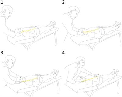 Validation and Reliability of a Novel Vagus Nerve Neurodynamic Test and Its Effects on Heart Rate in Healthy Subjects: Little Differences Between Sexes